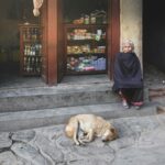 SEO pentru site-uri cu conținut generat de utilizatori: riscuri și beneficii