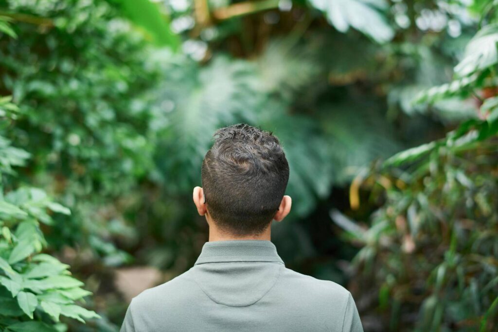 pexels-fauxels-3228933_wp