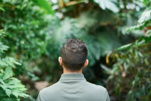 pexels-fauxels-3228933_wp